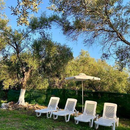 Endless Green: Feel Free And Cozy In Nature Perivólion 外观 照片