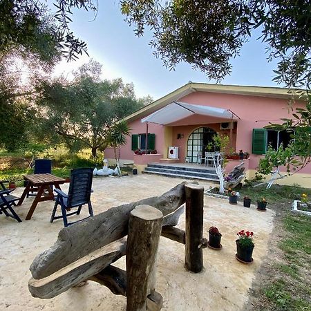 Endless Green: Feel Free And Cozy In Nature Perivólion 外观 照片