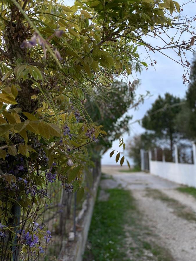 Endless Green: Feel Free And Cozy In Nature Perivólion 外观 照片