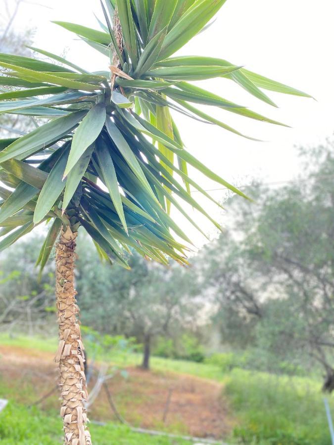 Endless Green: Feel Free And Cozy In Nature Perivólion 外观 照片