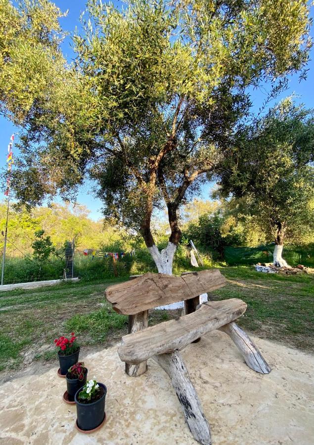 Endless Green: Feel Free And Cozy In Nature Perivólion 外观 照片
