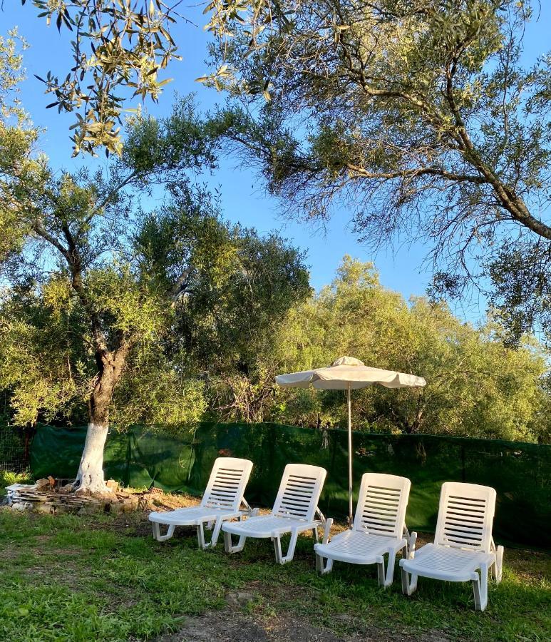 Endless Green: Feel Free And Cozy In Nature Perivólion 外观 照片