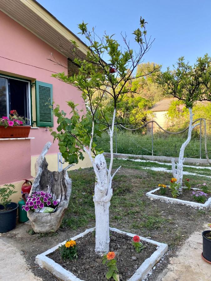 Endless Green: Feel Free And Cozy In Nature Perivólion 外观 照片
