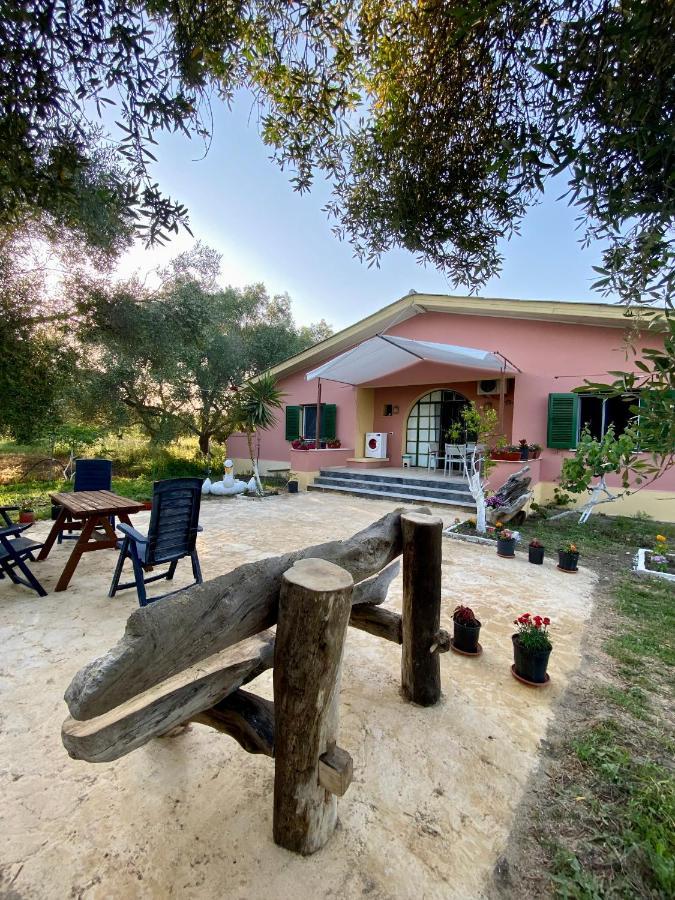 Endless Green: Feel Free And Cozy In Nature Perivólion 外观 照片